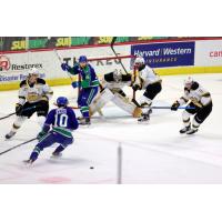 Swift Current Broncos battle the Brandon Wheat Kings