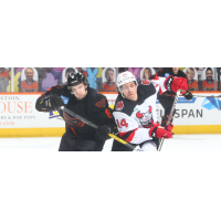 Binghamton Devils right wing Tyler Irvine (right) vs. the Lehigh Valley Phantoms