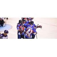 South Carolina Stingrays celebrate a goal