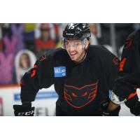 Lehigh Valley Phantoms in action