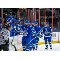 Wichita Thunder defenseman Mathieu Gagnon
