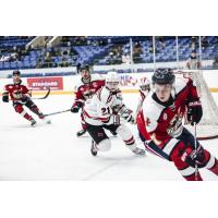 Odessa Jackalopes forward Ben Doherty (right)