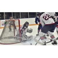Tri-City Americans goaltender Talyn Boyko
