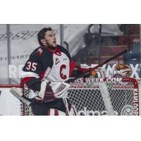 Prince George Cougars goaltender Taylor Gauthier vs. the Kamloops Blazers
