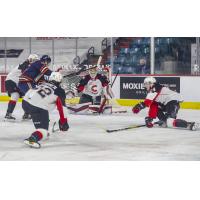 Prince George Cougars goaltender Taylor Gauthier vs. the Kamloops Blazers