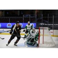 Texas Stars goaltender Tomas Sholl vs. the Cleveland Monsters