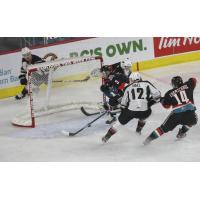 Adam Hall of the Vancouver Giants eyes a puck in front of the Kelowna Rockets goal