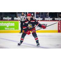 Grand Rapids Griffins defenseman Dennis Cholowski