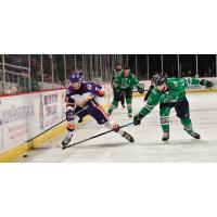 Orlando Solar Bears forward Tyler Bird (left) vs. the Florida Everblades