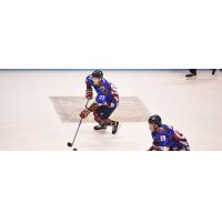 South Carolina Stingrays forward Cole Ully (with puck) and Dan DeSalvo