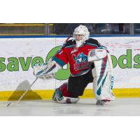 Kelowna Rockets goaltender Cole Schwebius