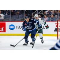 Forward Ryan White with the Manitoba Moose