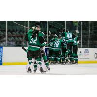 Texas Stars celebrate their comeback win over the Iowa Wild