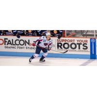South Carolina Stingrays forward Justin Florek