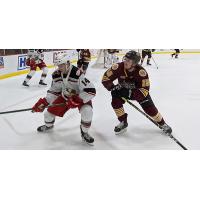 Grand Rapids Griffins right wing Jarid Lukosevicius (left) vs. the Chicago Wolves