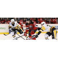 Binghamton Devils defenseman Reilly Walsh vs. the Wilkes-Barre/Scranton Penguins