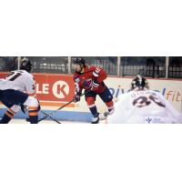 South Carolina Stingrays forward Caleb Herbert vs. the Greenville Swamp Rabbits