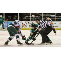 Texas Stars face off with the Iowa Wild