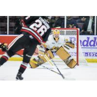 Sarnia Sting goaltender Ben Gaudreau