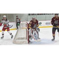 Chicago Wolves goaltender Petr Mrazek vs. the Grand Rapids Griffins