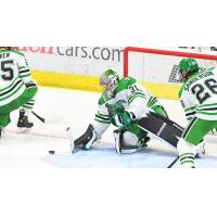 Goaltender Adam Scheel with the University of North Dakota