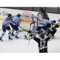 Wheeling Nailers react after a goal against the Jacksonville Icemen