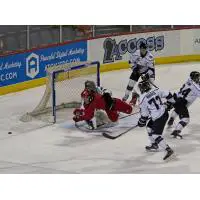 Allen Americans defenseman Les Lancaster in the middle of the Utah Grizzlies defense