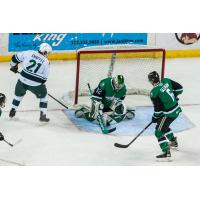 Texas Stars goaltender Colton Point