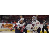 South Carolina Stingrays vs. the Greenville Swamp Rabbits