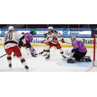Grand Rapids Griffins battle the Cleveland Monsters