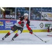 Majid Kaddoura of the Prince George Cougars