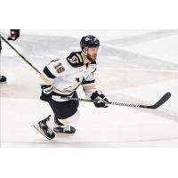 Wheeling Nailers forward Cody Sylvester