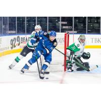 Texas Stars goaltender Adam Scheel vs. the Colorado Eagles
