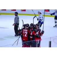 Vancouver Giants celebrate a goal against the Victoria Royals