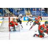 Charlottetown Islanders forward Patrick Guay vs. Halifax Mooseheads goaltender Alexis Gravel