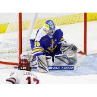 Goaltender Mareks Mitens with Lake Superior State University