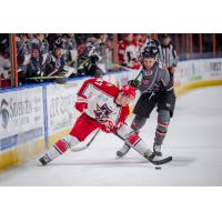 William Lochead of the Allen Americans vs. the Kansas City Mavericks