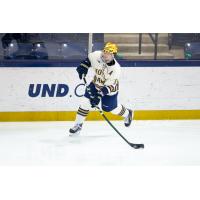 Defenseman Matt Hellickson with the University of Notre Dame