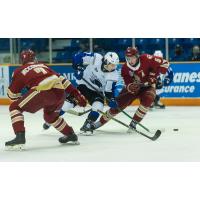 Saint John Sea Dogs battle the Acadie-Bathurst Titan