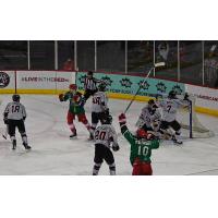 Allen Americans react after a goal against the Kansas City Mavericks