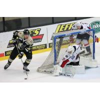 Wheeling Nailers forward Austin Fyten handles the puck vs. the South Carolina Stingrays