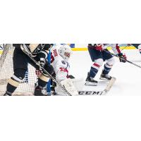 South Carolina Stingrays goaltender Matt Jurusik vs. the Wheeling Nailers