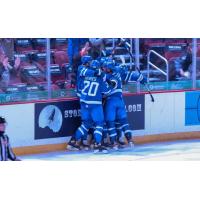 Wichita Thunder celebrate a late goal against the Utah Grizzlies