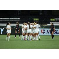 Kansas City NWSL celebrates Amy Rodriguez's goal vs. Portland Thorns FC