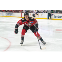 Huntsville Havoc forward Matthew Barnaby
