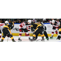 Binghamton Devils center Ryan Schmelzer (26) faces off with the Wilkes-Barre/Scranton Penguins