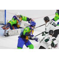Wichita Thunder goaltender Evan Buitenhuis