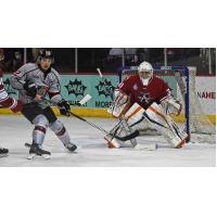 Allen Americans goaltender Francis Marotte vs. the Kansas City Mavericks