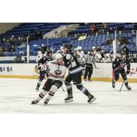 Odessa Jackalopes vs. the Shreveport Mudbugs