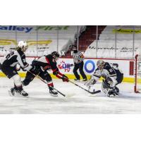 Prince George Cougars centre Craig Armstrong scores against the Vancouver Giants